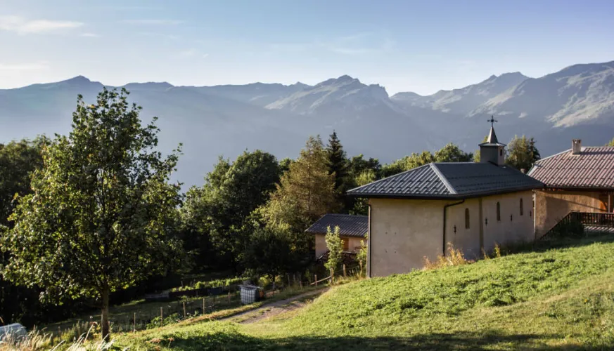 Trailrunparcours Montalbert