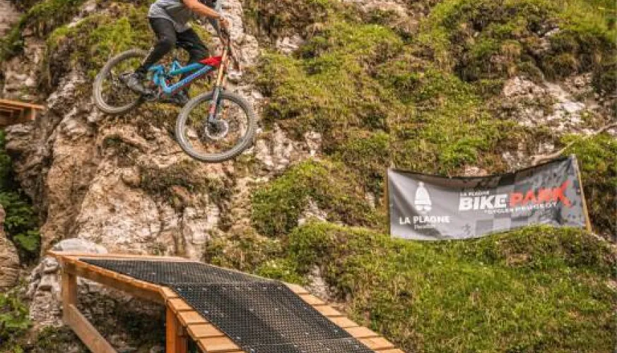 STAGE DH