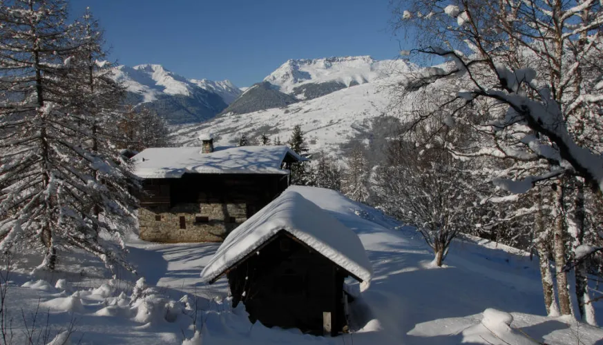 Traject met sneeuwschoenen "Montchavin - Les Coches via Praz Salvard"