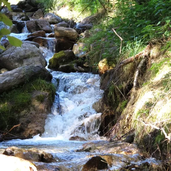 Le torrent du Remous
