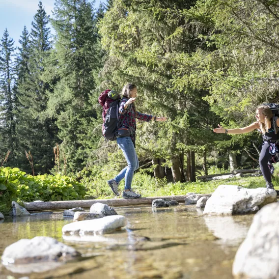 randonnee-foret-©JNJPhoto