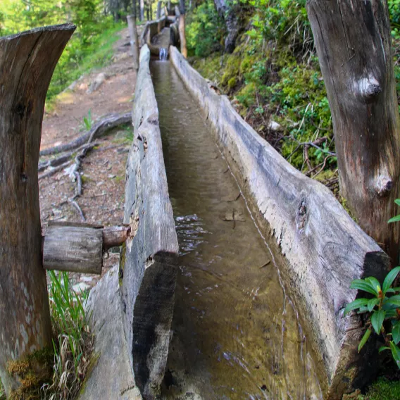 Sentier fraîcheur du bief bovet à La Plagne Montalbert