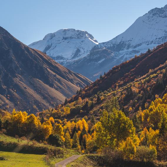 Champagny-le-Haut - Sentier des Gorzdérés en automne