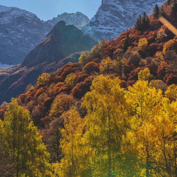 Champagny en Automne