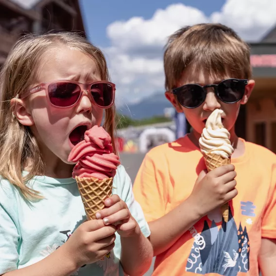 Dégustation de glaces