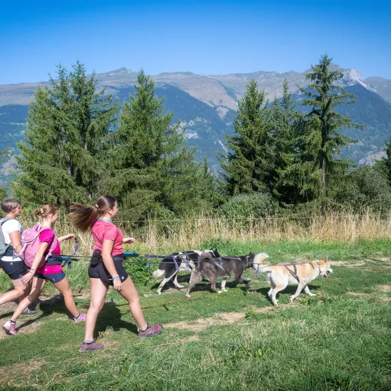 La cani balade, vous connaissez ?