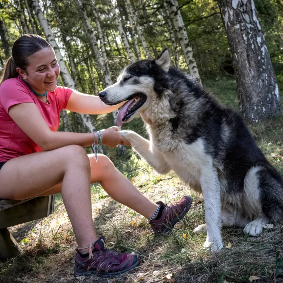 montalbert-cani-randos-chiens-©JNJ_PHOTO