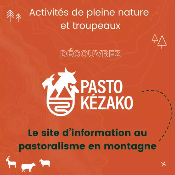 Pasto Kézako ?