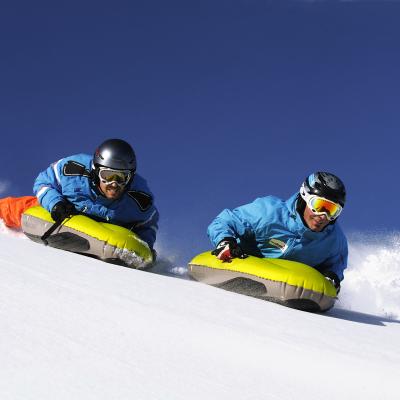Alternatieve sneeuwsporten