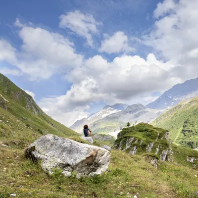 Welke dieren gadeslaan in het Parc national de la Vanoise ?