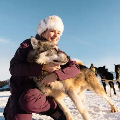 3 vooroordelen over nordic dogs, de koningen van de getrokken sport