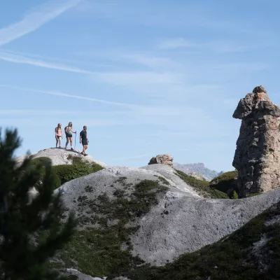 Het cembrabos op gips, een wonder der natuur