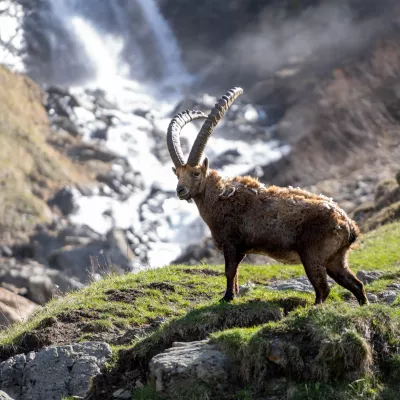Champagny fotowedstrijd