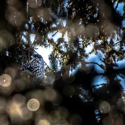 3 weinig bekende winterverblijven voor een rustige wandeling