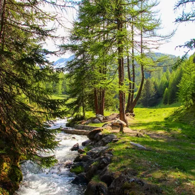 Biefs: zet deze eeuwenoude traditie voort met je familie