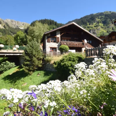 Appartementen & chalet