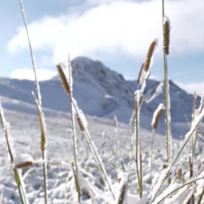 Plagne Centre