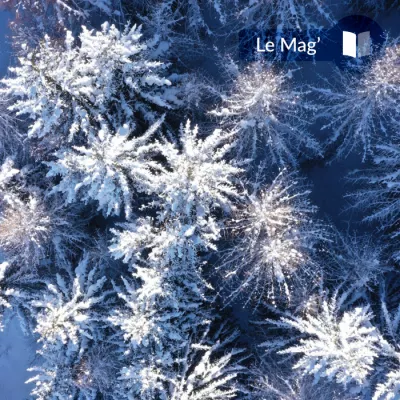 De roeping van het bos