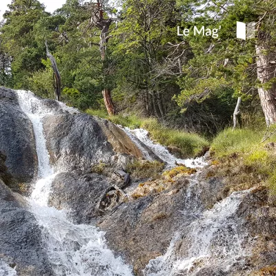 BACK TO BASICS: onderdompeling met het gezin in de wildernis