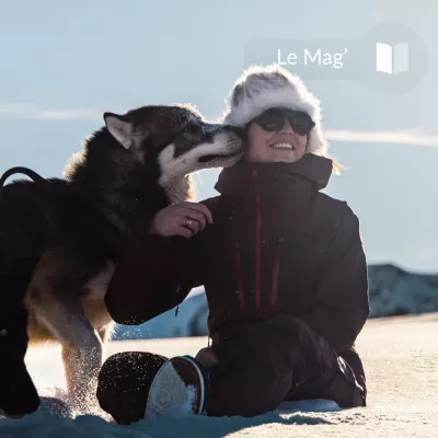 3 misvattingen over Scandinavische honden