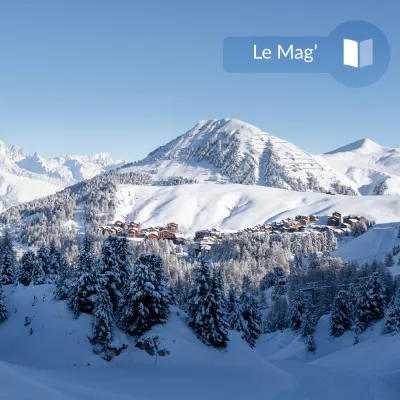 Het is een rage: skivakanties