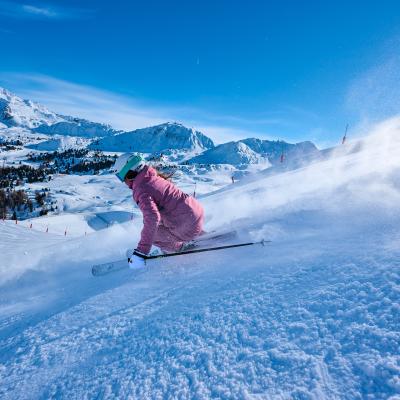 Alpijns Skiën