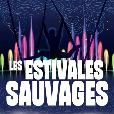 De Wilde Zomerfestivals