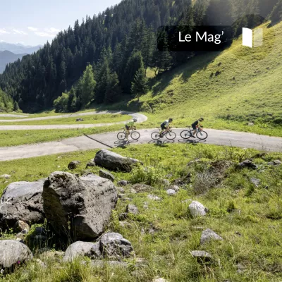 Moet ik mijn fiets meenemen of niet?