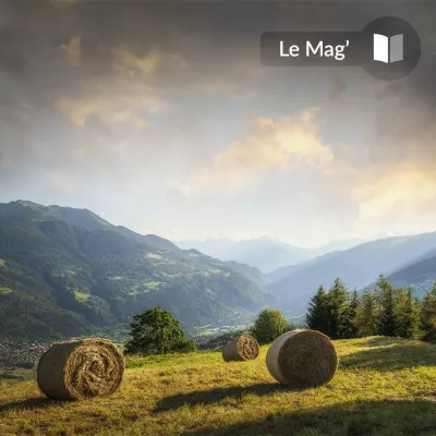 Onze “top spots” voor de herfst