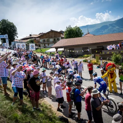 Bijeenkomsten | festivals