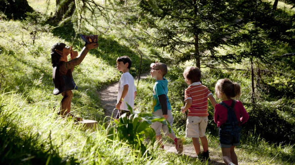 De Betoverende Alpenweiden