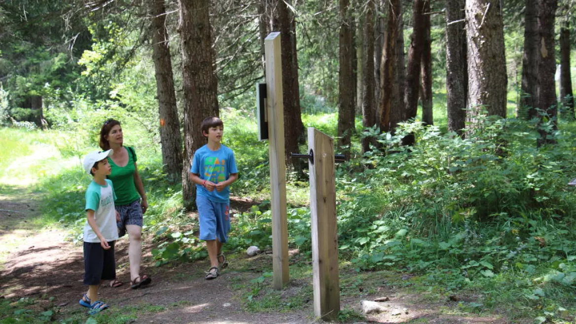 Sentier de l'explorateur en herbe