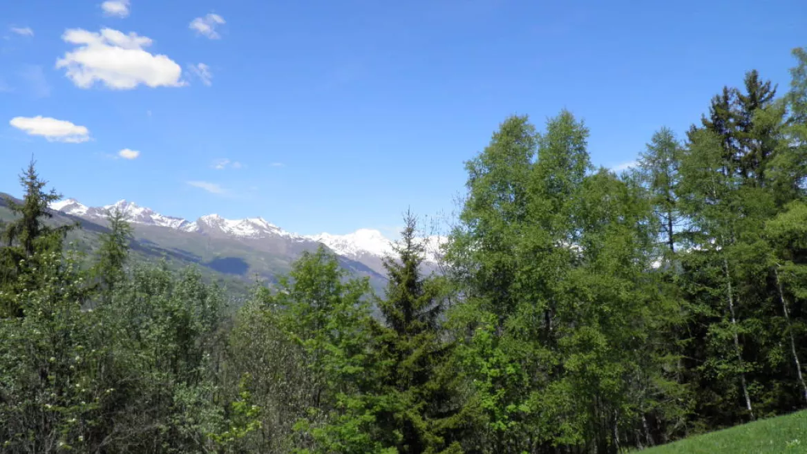 De weg naar la Pierra