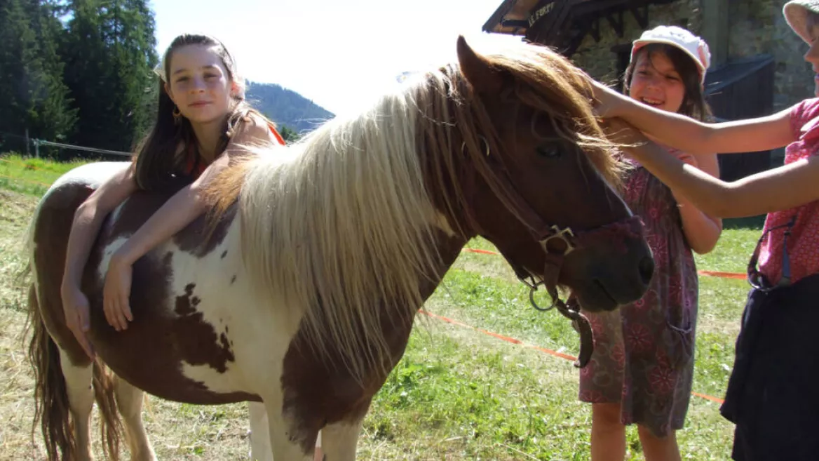 Mini hoeve van Forperet