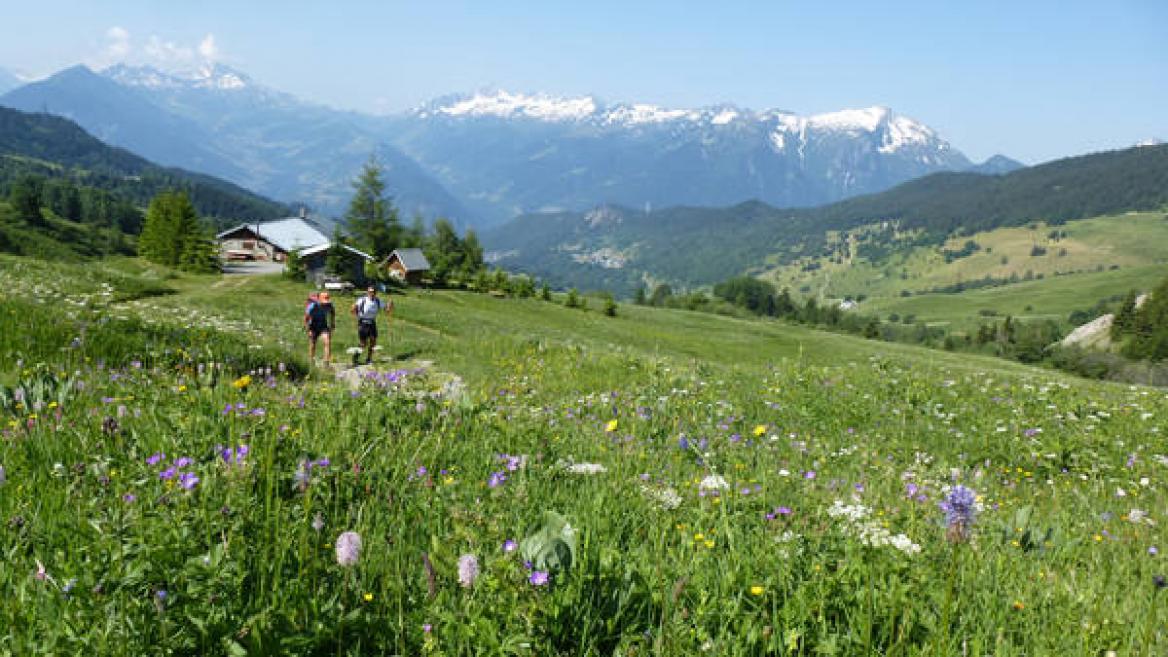 Grote Ronde van de Tarentaise (27 dagen - naar wens samen te stellen)