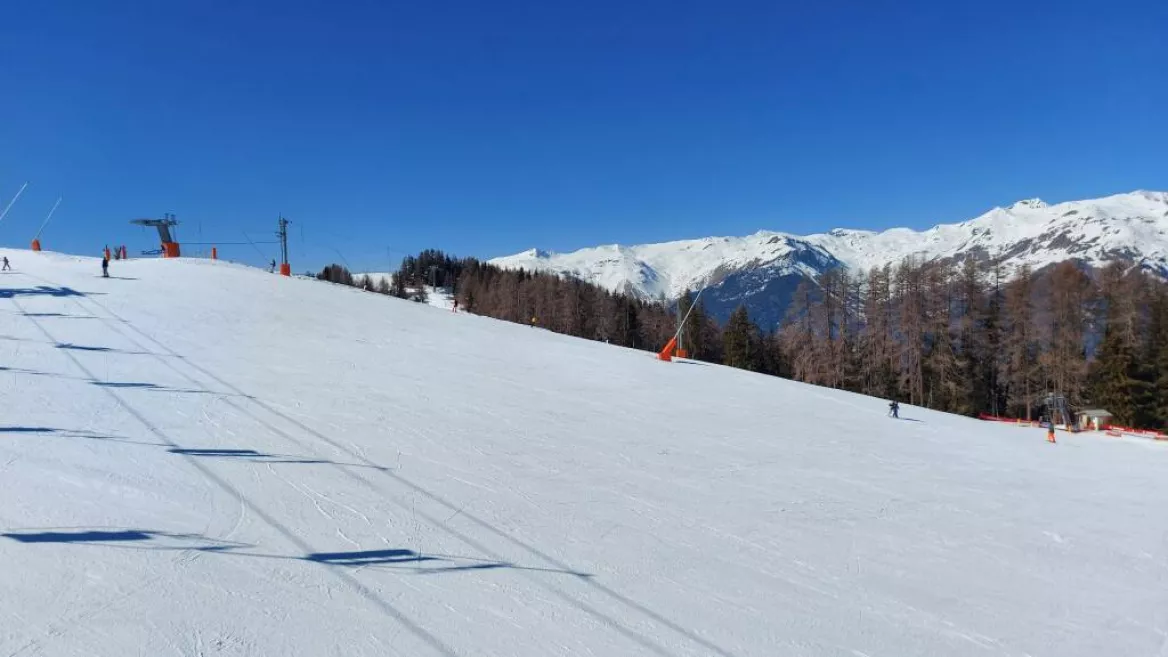 Beginnerszone Kikker