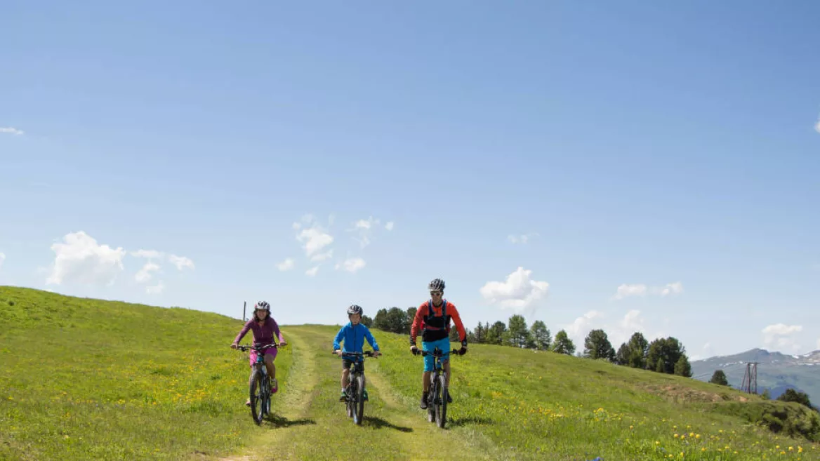 Elektrische mountainbike