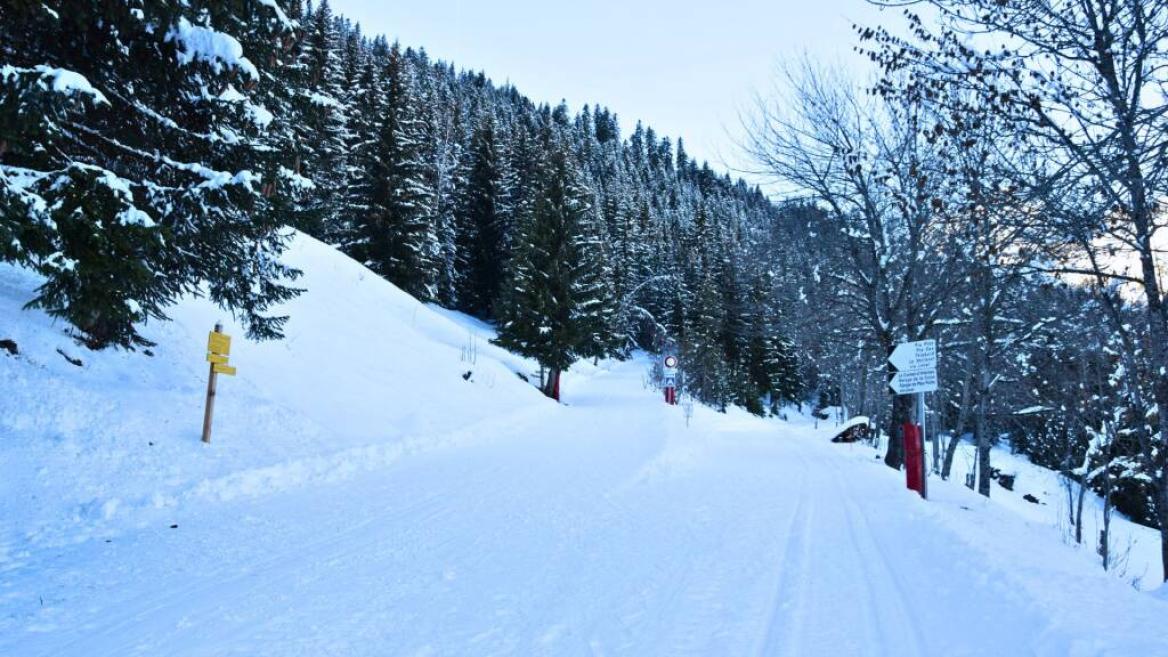 Itinéraires nordiques de Prachanié_Aime-la-Plagne