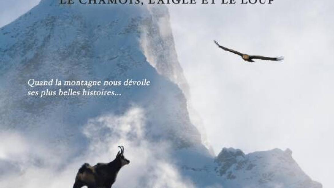 Mountain Cinema: "SAUVAGE, de gems, de adelaar en de wolf"... Nieuwe film