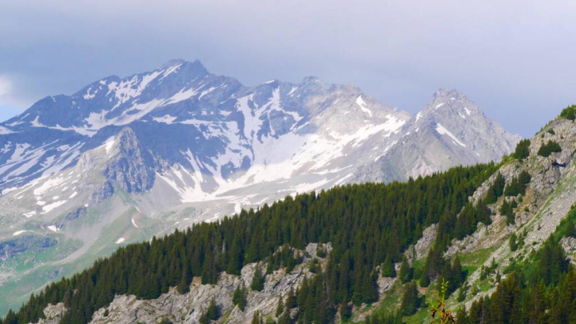 Tour du Merle