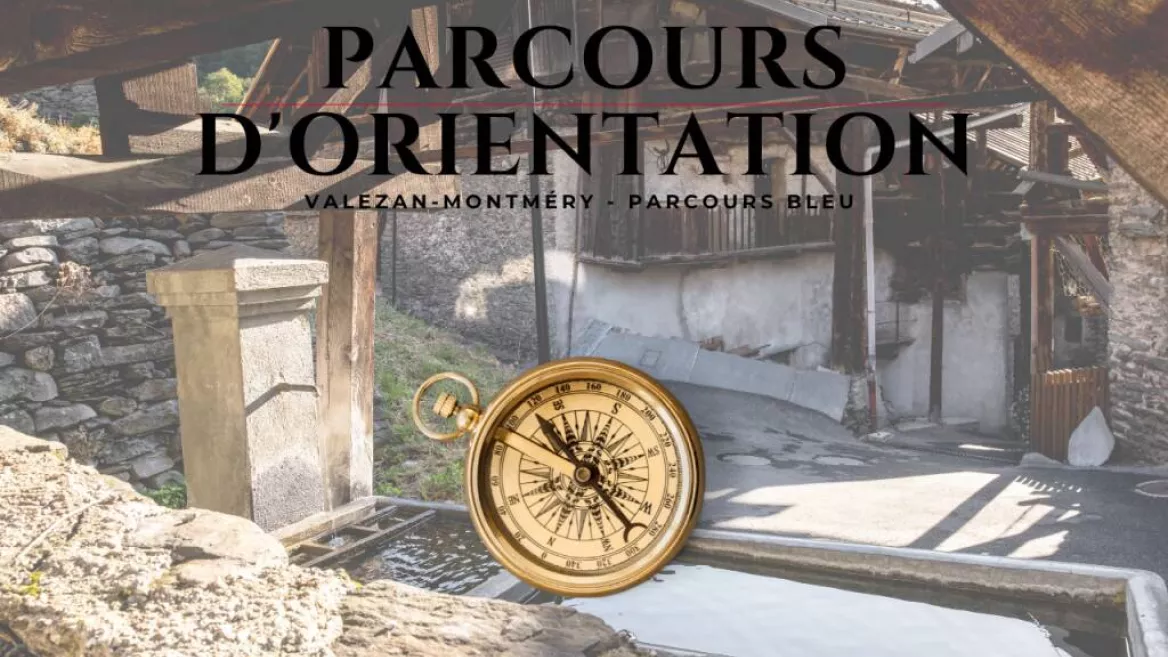 Oriëntatieloop Valezan Montméry