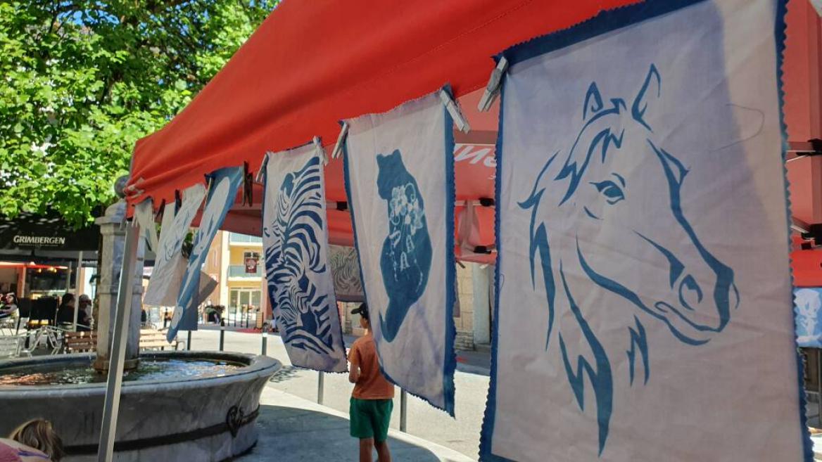 Animation Grand'Rue_Aime-la-Plagne