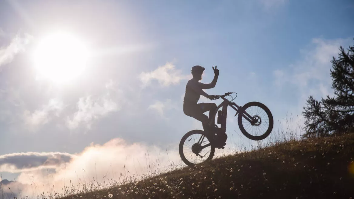 Elektrische mountainbike