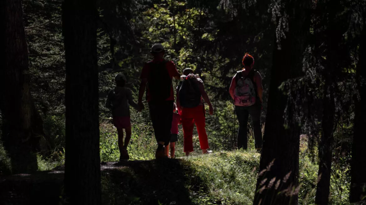 Route Bois des Fornettes