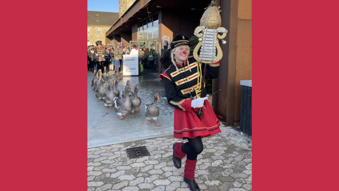 Fanfare des oies