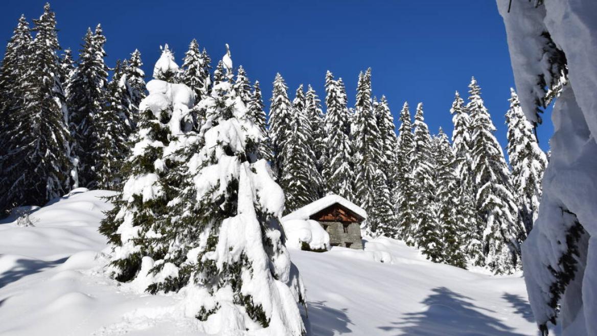 Balade à raquettes - Boucle du bief_La Plagne Tarentaise