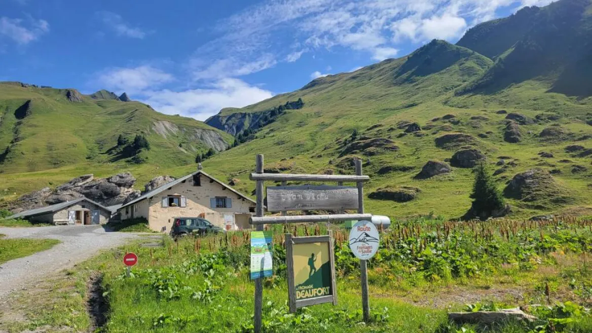 Gemakkelijke wandeling naar de alpenweide van Plan Pichu/Refuge de la Coire Gemakkelijke wandeling naar de alpenweide van Plan Pichu/Refuge de la Coire_Aime-la-Plagne