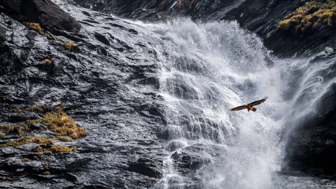 Champagny-en-Vanoise fotowedstrijd_Champagny-en-Vanoise
