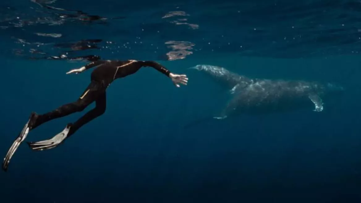 Film | “De walvis en de muzikant”_Champagny-en-Vanoise