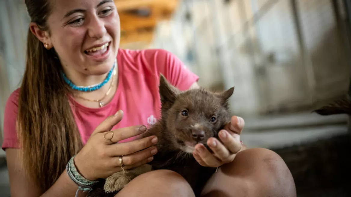 Bezoek de kennels_Plagne-Montalbert
